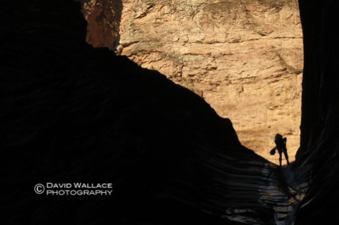 Chris is silhouetted on rappel in Whispering Falls Canyon.