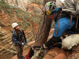 The final of a three rappel sequence to get into canyon floor of Behunin. We are committed at this point.